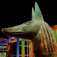 Anubis at the Gate