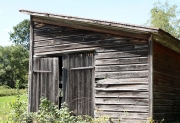 Old Gray Shed